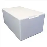 Styroporbox/Thermobox - 22,0 Liter - 55 x 32 x 24 cm/Wandstärke 3 cm - Styrobox