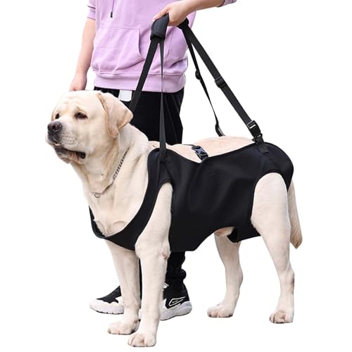 Hundeliftgeschirr, Haustierunterstützung Hund Lift Support für Hunde, Rehabilitation Geschirr Mobilität Sling für Alt, Gelenkverletzungen, Arthritis, Stabilitätsverlust Hunde, Schwarz (M)