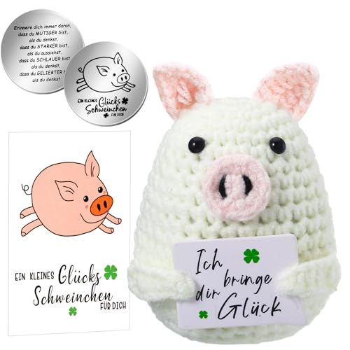 Lvefyti Positive Geschenke Pocket Hug Schwein, Positive Kartoffel - Ersatz, Strickwolle Schwein Puppe, Gute Besserung Geschenk, Mutmacher Geschenk, Glücksbringer Prüfung Geschenk