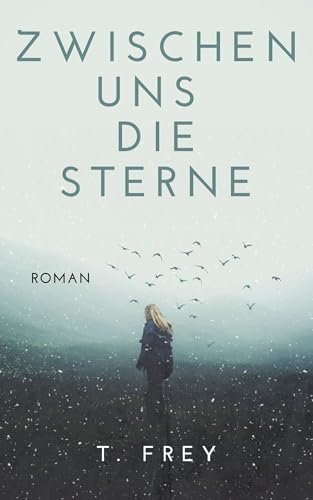 Zwischen uns die Sterne: New Adult Roman