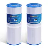 POOLPURE 2 stück Spa Hot Tub Filter 4-Unzen-Filtermedien Ersatz für Unicel C-4326 Pleatco PRB25-IN Filbur FC-2375 (rechnung vorhanden)