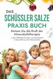 Das große Schüssler Salze Praxis Buch: Nutzen Sie die Kraft der Schüßler Salze und Salben bei über 200 Beschwerden und Krankheiten. Ergänzt durch bewährte Hausmittel aus der Naturmedizin