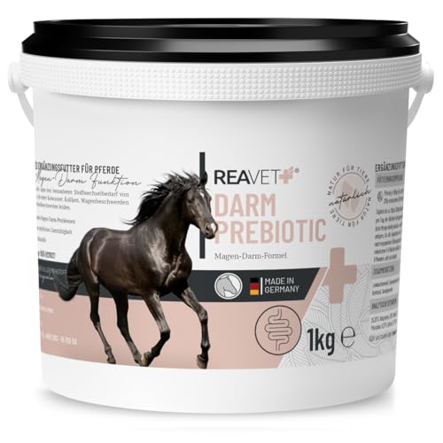 ReaVET Darm Prebiotic 1kg für Pferde, Magen Darm Pferd, Kotwasser Pferde, Darmprobleme Pferd, Getreidefreies Naturprodukt ohne Zusätze