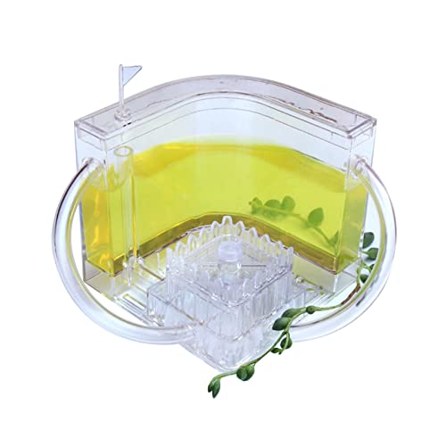 Ant Nest Ant Farm Ant Maze Ameisennest Acryl Ameisenvilla Ants Feeding Terrariums Transparent Ant Habitat Ameisenfarm Transparent Ameisennest Ameisenzucht Haus Wissenschaft Pädagogisches Eayoly