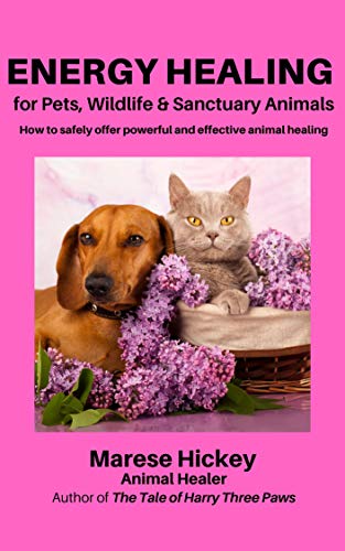 Energy Healing for Pets, Wildlife & Sanctuary Animals: How to Safely Offer Powerful and Effective Animal Healing (English Edition)