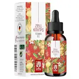 Vitamin B12 Tropfen für Kinder ab 3 Jahren - Zellknirps B12 für Kinder 100% ohne Alkohol & Vegan für Kind & Baby mit Methylcobalamin, Adenosylcobalamin