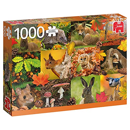 18863 Tiere im Herbst-1000 Teile Squirrel Zubehör, Mehrfarben