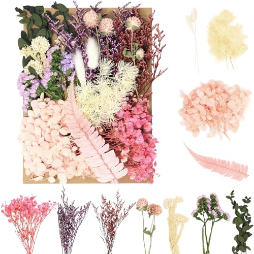 Sularpek Trockenblumen, Trockenblumen zum Basteln, Getrocknete Blumen, Trockenblumen Deko, Deko Blumen, Trockenblumen Klein Set, für Kunst DIY Harz Scrapbooking Handwerk Karten Machen