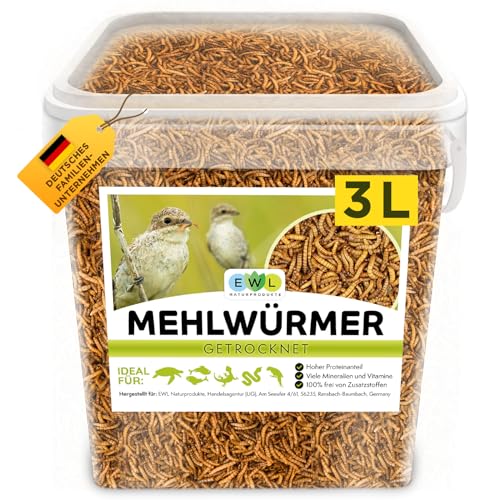 Mehlwürmer getrocknet 3L, Premium Insektensnack Vögel, Fische, Schildkröten, Nager, Igel, Reptilien, Vogelfutter Wildvögel Ganzjährig Eichhörnchen Futter Hamsterfutter Igelfutter (460g)