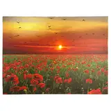 Nexos Trading LED Wandbild Leinwandbild mit Beleuchtung Fotodruck Mohnfeld 30 x 40 cm 1 LED warm weiß 30 Glasfaser Kunstdruck Leuchtbild Wiese Vintage-Stil Mohn Sonnenuntergang