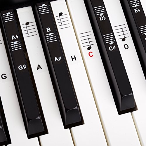 BELFORT Klavier + Keyboard Noten-Aufkleber für 49 | 61 | 76 | 88 Tasten + Ebook zum Noten lernen | Klavier Zubehör für schwarze + weiße Tasten | C-D-E-F-G-A-H | Klaviernoten lernen Kinder + Erwachsene