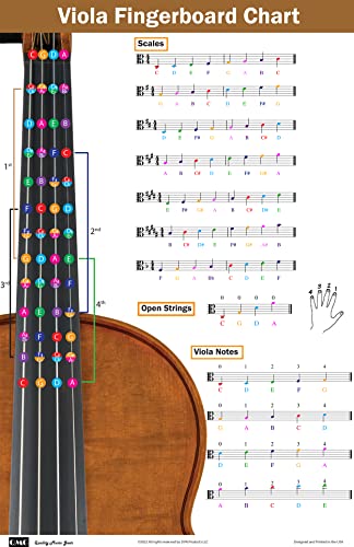 Orchestersaiteninstrumente (voll)
