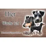 hier wache ich hund Manchester Terrier 15/9,5 cm