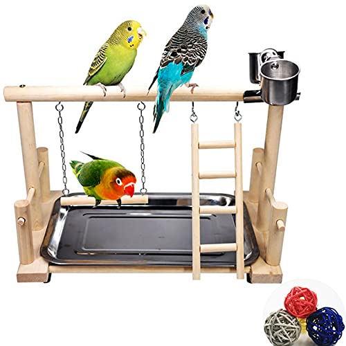 CHSEEO Vogelspielplatz für Papageien, Parrot Playstand Papagei Spielplatz mit Futterschalen, Spielzeug, Tablett aus Edelstahl, für Nymphensittiche Vögel Kanarien Wellensittich, 36 x 23 x 25 cm