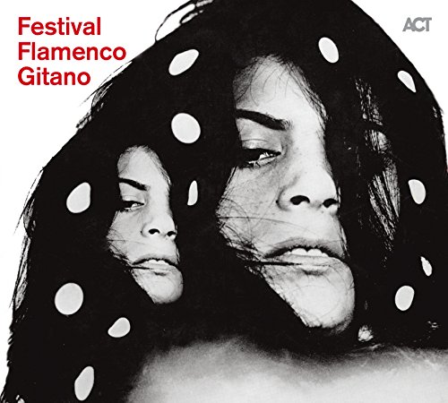 Festival Flamenco Gitano