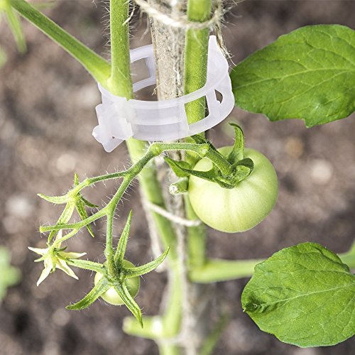 KINGLAKE 100 Stück Pflanzenclips, Pflanzenklammern Tomatenclips, Pflanzen Tomaten Clips, Tomatenklammern, Rankhilfe Klammern, Pflanzenstützclip für Kletterpflanzen Gurken-Weiß