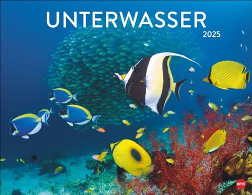 Unterwasser Posterkalender 2025: Spektakulärer Foto-Kalender im Posterformat. Die faszinierende Unterwasserwelt in Bildern für einen dekorativen großen Kalender.