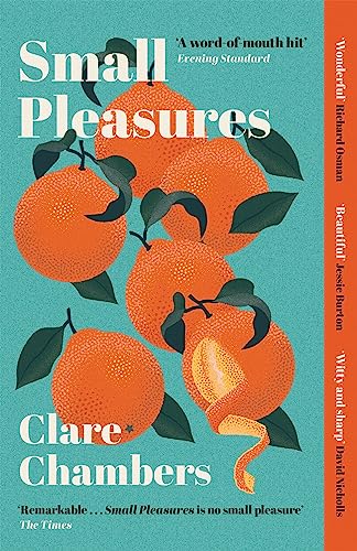 Small Pleasures: Longlisted for the Women's Prize for Fiction (English Edition)