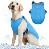 Kuoser Kühlweste Hund, Kühlweste für Hunde,Kühlmantel für Hunde, Kühlmantel Hund,Belüftet Kühljacke für Hunde, Hunde Kühlweste Aktivitäten Draußen Wandern Training Blau L