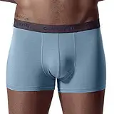 WKAYsIV Boxershorts schlanke Unterhose Höschen solide Mittelteil Boxer Kurze Kurze reizvolle Unterwäsche Herren Boxershorts Locker (Blue, M)