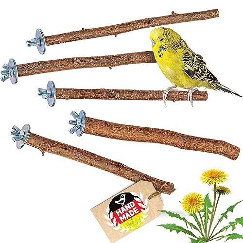 Vogelgaleria® 5 herrliche Natur Sitzstangen für Vögel wie Wellensittich, Nymphensittich, Kanarienvogel, Agaporniden | Naturholzstangen für den Vogel als wichtiges Vogelzubehör im Vogelkäfig | Zubehör