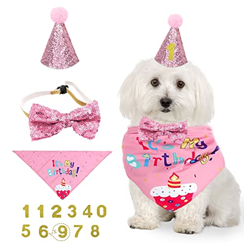 NITAIUN 4 Stücke Hund Geburtstag Bandana Set, Hund Geburtstag Partyhut Halstuch Krawatten Hunde Zubehör Set Haustier Geburtstagsset mit Headwear Kostüm für Katzen Hunde (Rosa)