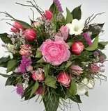 Blumenstrauß Frühlingstrauß mit 1 Ranunkel, 3 Freesien oder Anamon und 10 Tulpen in fröhliche bunte Farben in rosa,lila, weiße Richtung, Frische Schnittblumen Arrangement