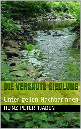 Die versaute Siedlung: Unter geilen Nachbarinnen