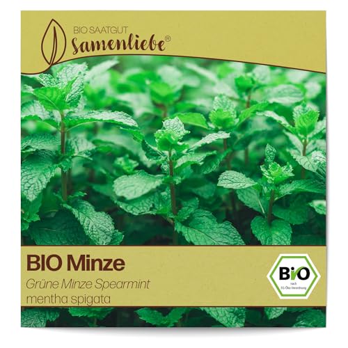 Samenliebe BIO Minze Samen alte Sorte Grüne Minze Spearmint 1000 Samen samenfestes Kräuter Saatgut für Garten Freiland und Balkon BIO Kräutersamen mehrjährig und winterhart