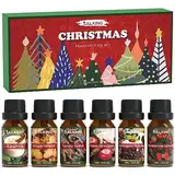 SALKING Weihnachten Ätherische Öle Set, 6x10mL 100% Bio Aromatherapie Duftöl GeschenkSet für Diffuser, Luftbefeuchter, Massage, Weihnachtskranz, Apfel Zimt, Lebkuchen, Zuckerstange, Pudding, Eierlikör