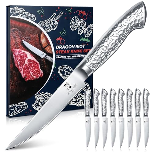 DRAGON RIOT Steakmesser Set 8-teiliges Steakbesteck mit Sägezahnklingen aus japanischem Edelstahl, spülmaschinengeeignet inklusive Aufbewahrungsbox