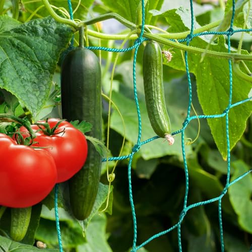 ANYUNKEY Premium Ranknetz 2,5x2m für Gurken & Tomaten – Inkl. 10 Plastik-Clips, 20 Pflanzenbinder & 20m Pflanzenband – Rankhilfe Netz für Gewächshaus, Balkon, Hochbeet – UV-beständig & Reißfest