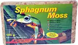 Lucky Reptile Sphagnum Moss - 100 g Terrarienmoos Ziegel für Reptilien - Terrarium zur Erhöhung der Luftfeuchtigkeit - Moos aus kontrolliertem Anbau Orchideen & Bromelien - Zubehör