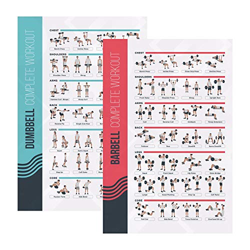 PosterMate - Fitness Poster fürs Kurz- & Langhanteltraining - 2er Set - 42 x 63 cm - perfekte Übersicht - professionelles Bodybuilding Poster zum Training - Geeignet für Mann, Frau, Homegym & Sport