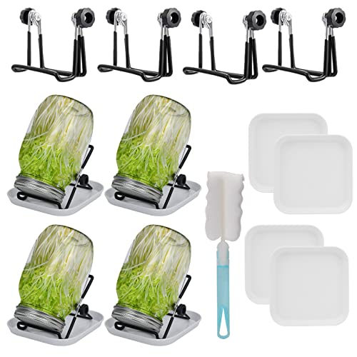 Deefongo 1000 ml Sprossen-Set, 4er Sprouting jar Glas,Keimglas-Set, Weithalsgläser mit abgeschirmten Sprossendeckeln, Ständer und Einmachbürste für den Anbau von Alfalfa, grünen Bohnen