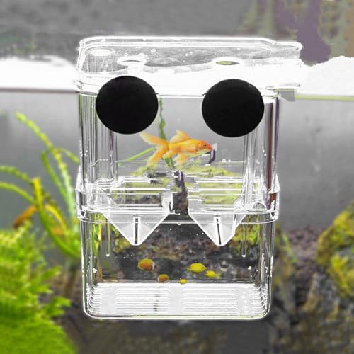 Aquarium Zuchtbox, Fischzuchtbox, Aquarien Aufzuchtbehälter, Garnelen Aufzuchtbecken, Aquarium Brutkasten mit Saugnäpfen für Garnelen, Kleine Fische, Babyfische, Guppys und Clownfische(100x70x130mm)