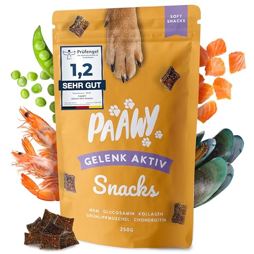 paawy Gelenktabletten Hund I Grünlippmuschel Hund I Snacks mit MSM, Glucosamin & Chondroitin I Arthrose Hund I Unterstützt die Gelenke & Knochen I Gelenk-Aktiv 250g