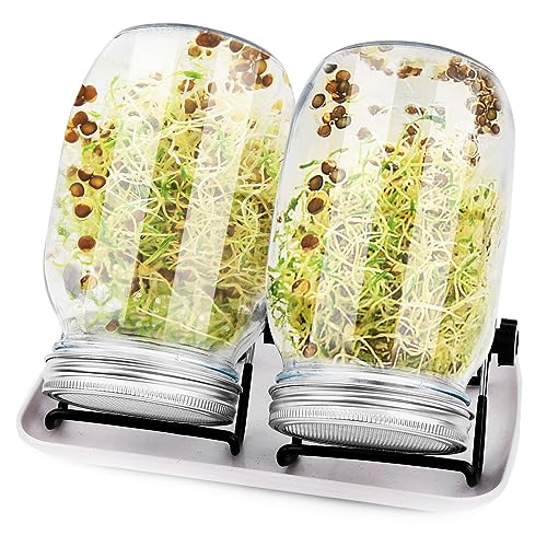 sorliva Sprossenglas Keimglas 2er Set 1000ML Sprossen Keimgerät mit Deckel Ständer und Abtropfschale Keimling Sprouter für Sprossenzucht Sprossen Microgreen Alfalfa Samen Sprouting Jar Kit