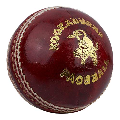 Kookaburra Paceball Cricketball, 156 g, Rot, Herren