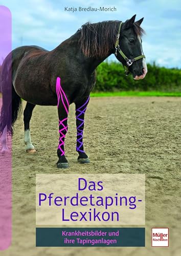 Pferdetaping-Lexikon: Krankheitsbilder und ihre Tapinganlagen