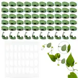 Frevoitna 60 Stück Pflanzenclips für Kletterpflanzen, Pflanzenhalter Befestigung Outdoor, Pflanzenklammern Selbstklebend, Wandbefestigung für Pflanzen, Pflanzen Clips Wand, Clips for Climbing Plants