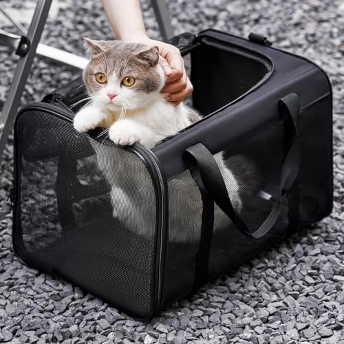 Conlun Katzentransportbox,Weiche Katzentransporttasche mit 4-seitigem Netz, Flugzeugtaugliche Katzentasche für Kleine&Mittelgroße Katze Kätzchen Welpen bis 6 Kg, Hundetransportbox Faltbar-M, Schwarz