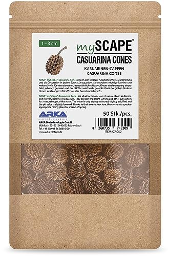 ARKA mySCAPE-Casuarina Cones - 50 Stück - Natürliche Wasseraufbereiter, schaffen tropenähnliche Bedingungen in Süßwasseraquarien, ideal für Garnelen.