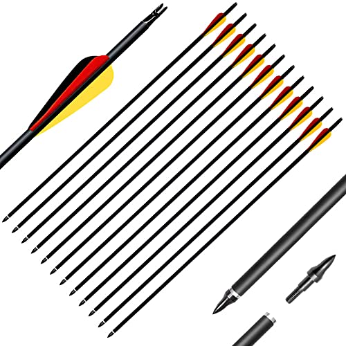 Deweey 12 Stück Pfeile, 31 Zoll Carbonpfeile Bogenpfeile mit Kunststoffbefiederung für Bogen, Recurvebogen, Langbogen und traditionellen Bogen
