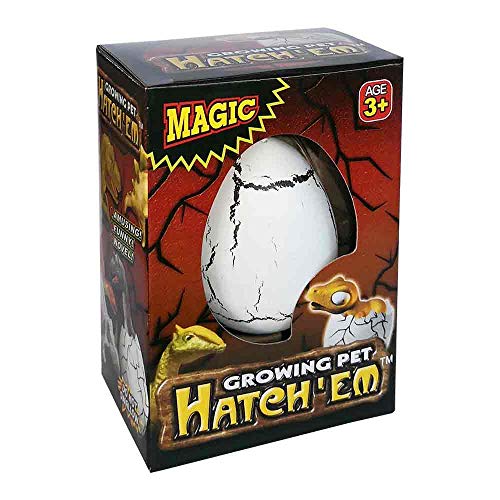 IID LTEX07B - Magisches Dinosaurier Ei mit wachsendem Dino im Inneren, ca. 6 cm groß, Dino schlüpft nach ca. 48 Stunden, als Geschenk, Give-Away, für Mottopartys und für Fans und Liebhaber