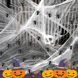 Halloween Spinnennetz Dekoration,Halloween Deko, mit 200g Spinnennetz und 30 Spinnen, für Halloween Dekorationen,Spukhaus,Horror Deko,Gruselszene,Partyzubehör