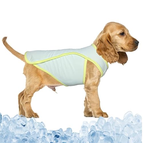 PetSmiler Kühlweste für Hunde - Kühlshirt Hund Schnell Trocknen Hunde Shirt für Sommer, Dehnbare Kuehl Shirt Hund Atmungsaktives Mesh Kuehl Tshirt für Kleine Mittelgroße Hunde (Grün M)