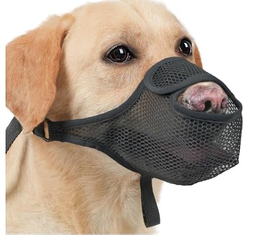 SHUOHONG Hunde Maulkorb, Nylon-Mesh, Atmungsaktiv und Bequem, Maulkorb für Große Hunde mit Verstellbaren Trägern, Maulkorb Mittlere Hunde, Maulkorb Kleine Hunde, Maulkörbe für Hunde (XL)