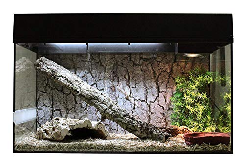 Lucky Reptile Schlangen Starter Kit 80 cm - hochwertiges Schlangen Terrarium Komplettset für die Aufzucht und Dauerhaltung von kleinen Schlangen - Starter Set Schlangen für Einsteiger in schwarz