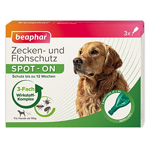 BEAPHAR - Zecken- Und Flohschutz SPOT-ON Für Hunde Über 15kg - Repellent Gegen Flöhe, Zecken Und Mücken - Sofortige Wirkung - Schützt Bis Zu 12 Wochen - 3 Pipetten Je 2ml